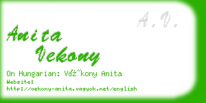 anita vekony business card
